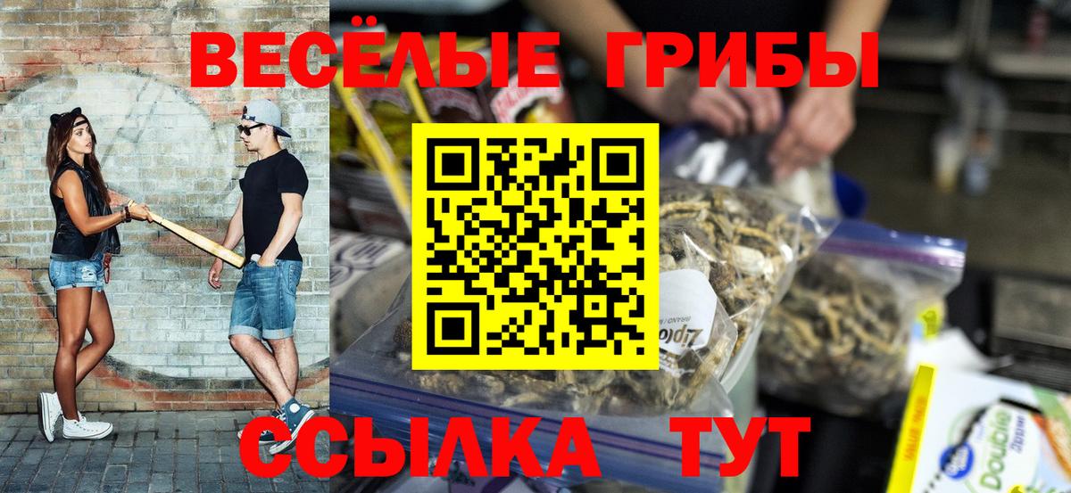 Стрежевой  Галлюциногенные грибы ЛСД  Псилоцибиновые грибы мухоморы  Вход с VPN 